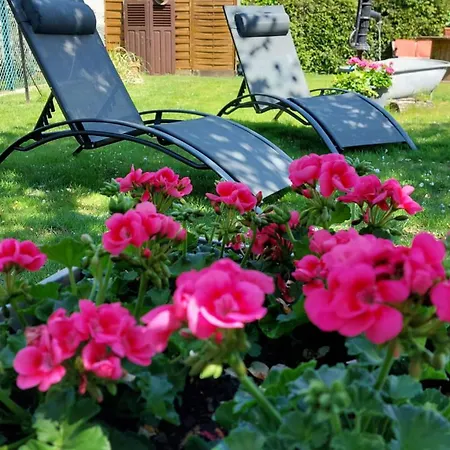 Gite Au Pommier Fleuri Et Son 